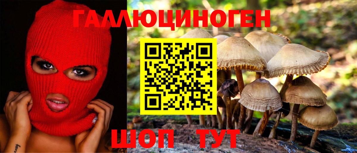 Топки  наркошоп  Вход с VPN  Псилоцибиновые грибы прущие грибы 