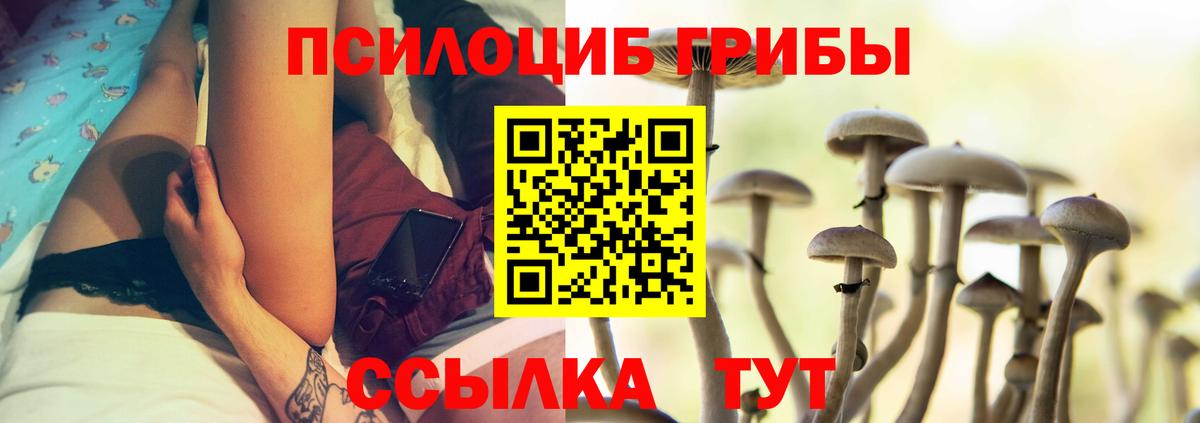 Галлюциногенные грибы прущие грибы Топки